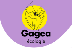 Gagea Ecologie